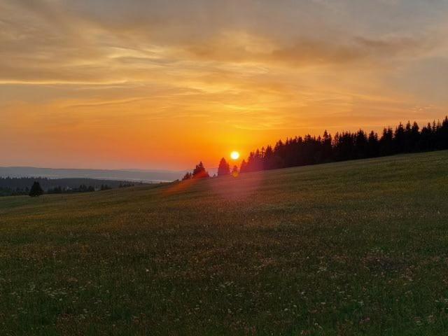 Landgasthof Neitsch Schwarzenberg  Eksteriør billede