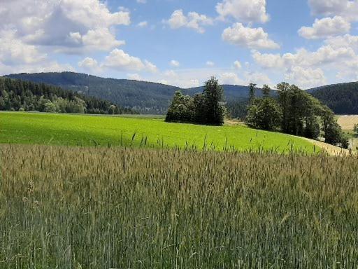 Landgasthof Neitsch Schwarzenberg  Eksteriør billede